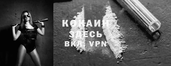 дмт Лиски