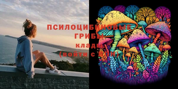 a pvp Магас
