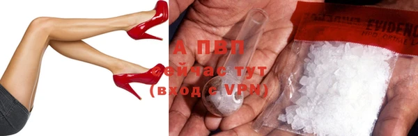 a pvp Магас
